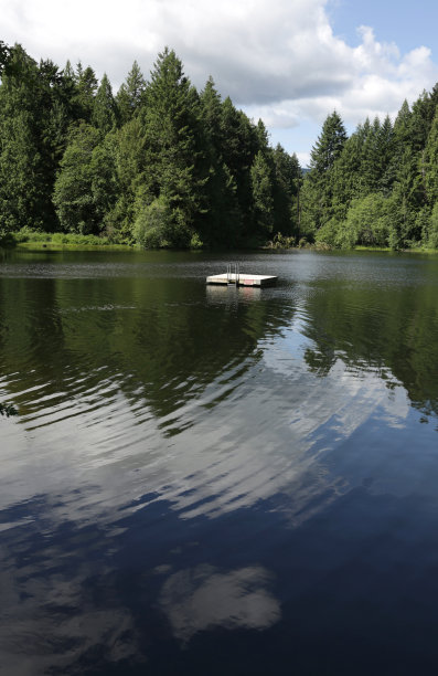 森林湖纳奈莫，不列颠哥伦比亚省，加拿大，春天图片下载
