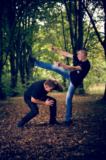 两个男人练习自卫和武术图片下载