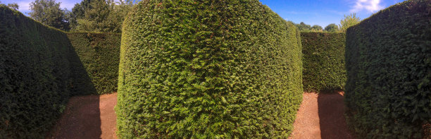 在一个迷宫图片下载