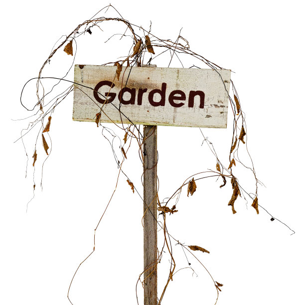 花园的标志在死的蔓藤杂草中，死于干旱。图片下载