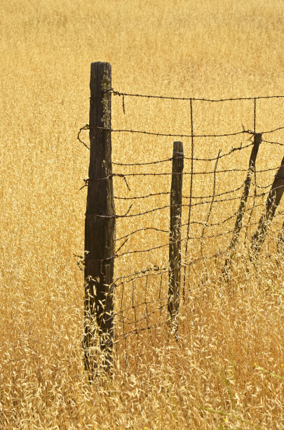 旧栅栏图片下载