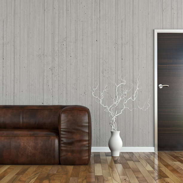 带沙发的现代客厅图片下载