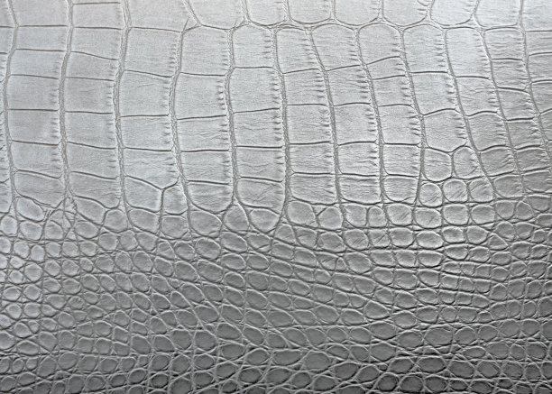 鳄鱼皮图片下载