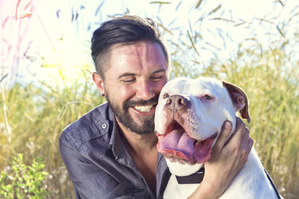 微笑的男人和他的比特斗牛犬在户外图片下载