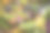 斯里兰卡照片素材ID：145653472