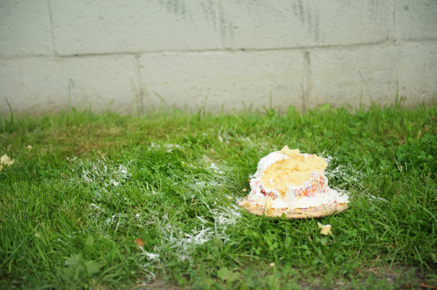 草地上坐着剩下的生日蛋糕图片下载