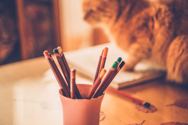 成人涂色书-颜色铅笔和一只姜猫图片下载