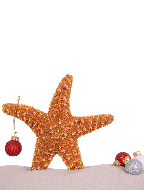 桑迪圣诞节图片下载