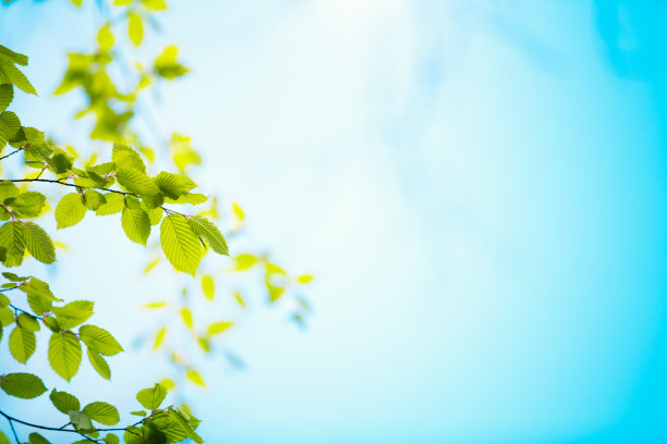 春天照片素材ID：145695040