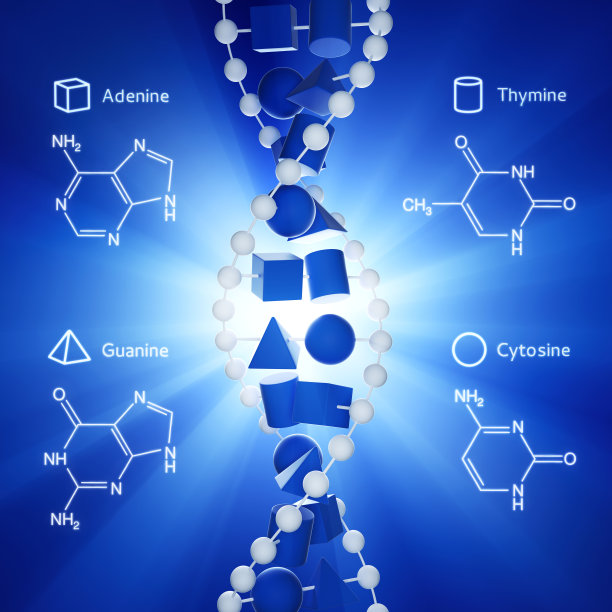 轻XL+的DNA分子图片下载
