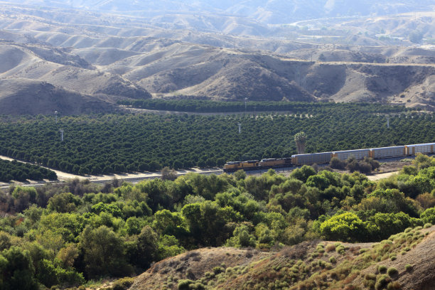 穿越橘子林的货运列车图片下载