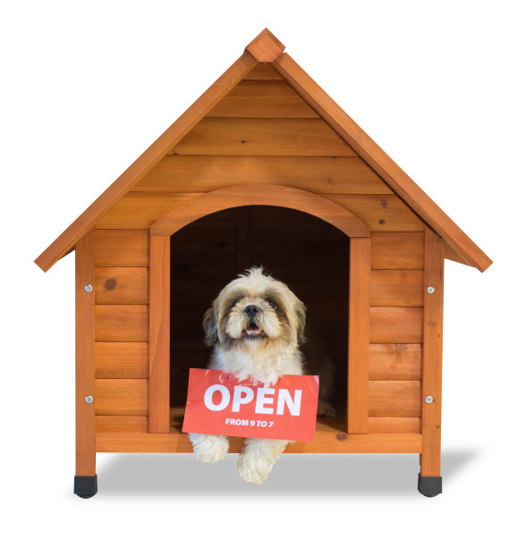 西施犬的开放标志图片下载