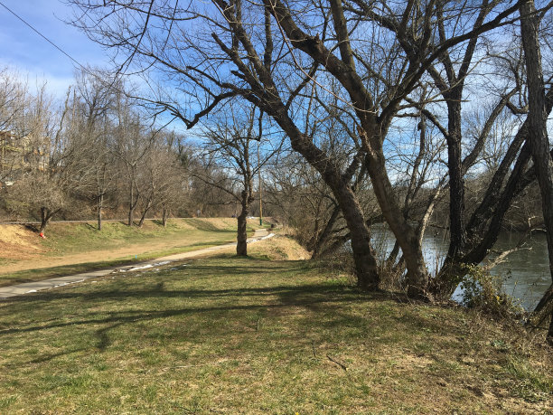 河公园与光秃秃的树木图片下载