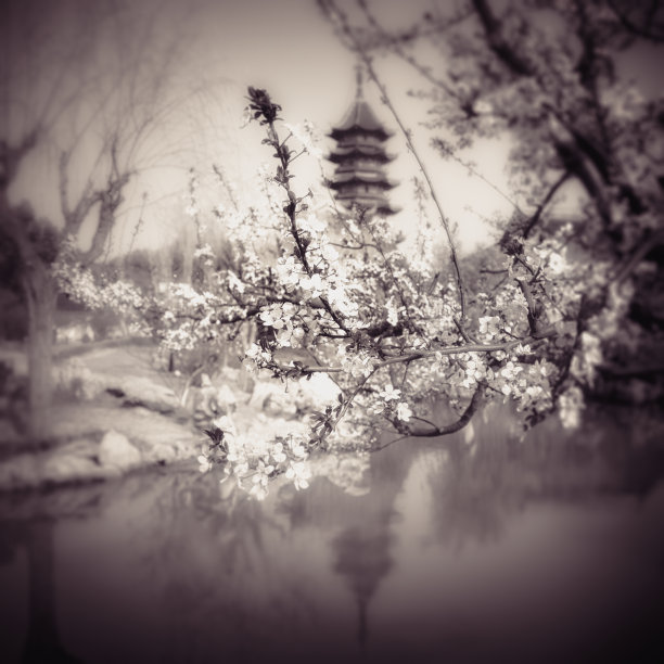 中国的宁静图片下载