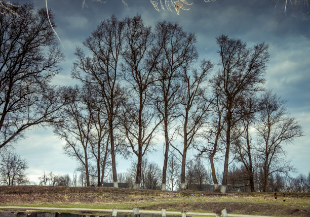 早春的乡村图片下载