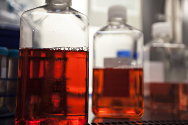 彩色烧杯和烧瓶-实验室系列图片下载