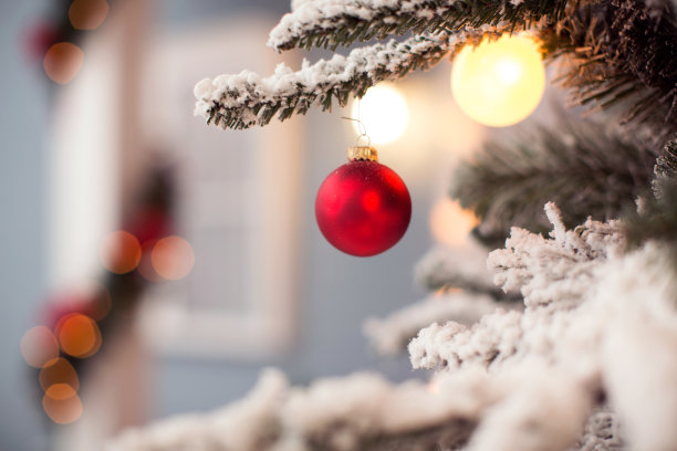 圣诞装饰在户外。图片下载