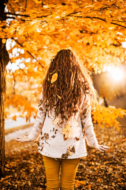 女人在秋天。图片下载
