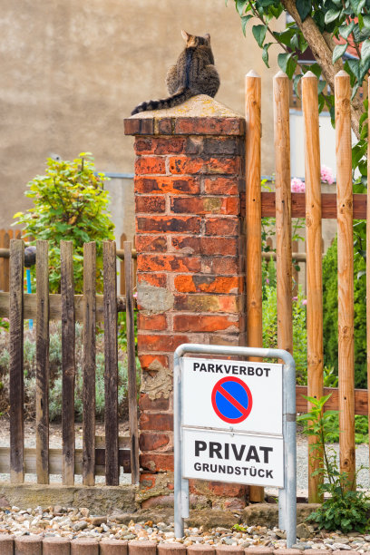 猫警卫图片下载