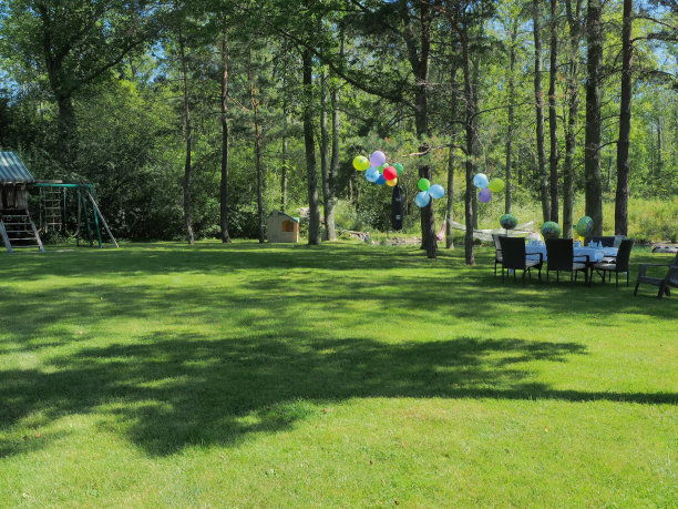 后院的一方图片下载