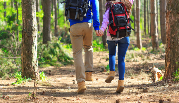 快乐的情侣徒步旅行在森林后视图图片下载