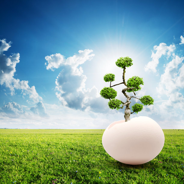 在天际线和草地的背景下，一棵蛋生的树图片下载