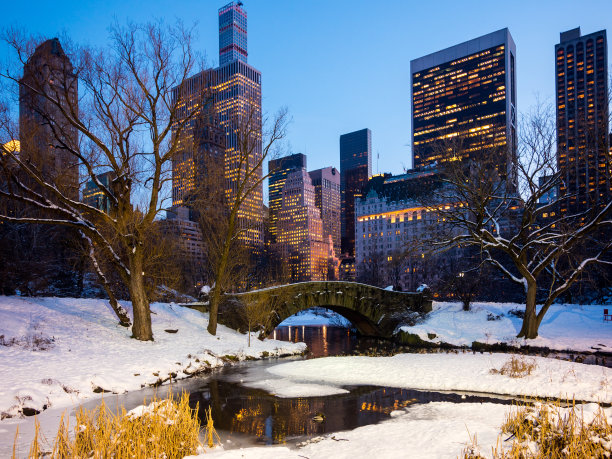 黄昏时分的中央公园图片下载