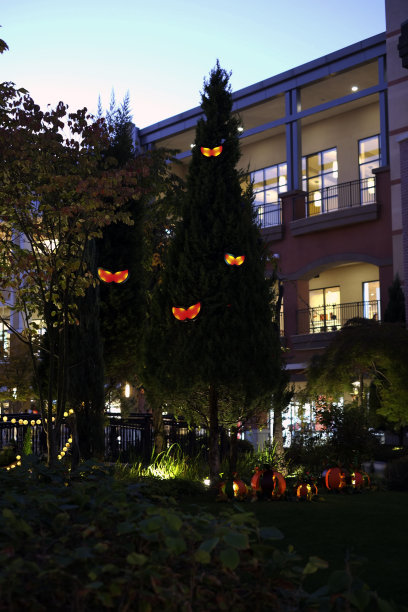 万圣节的装饰品图片下载