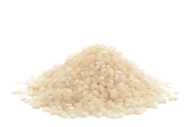 佩拉·赖斯图片下载