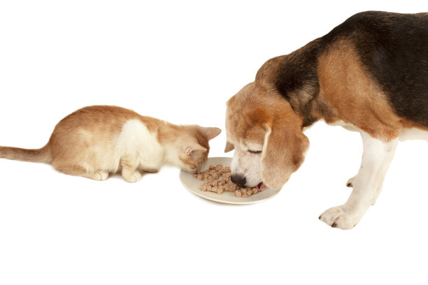 我们一起吃晚饭。图片下载