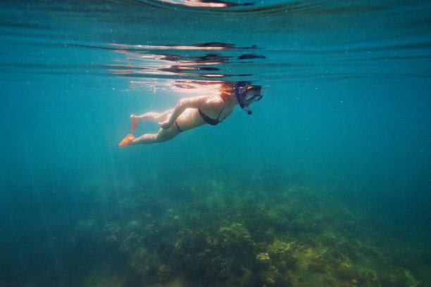 海洋是地球上最后一个真正安静的地方图片下载