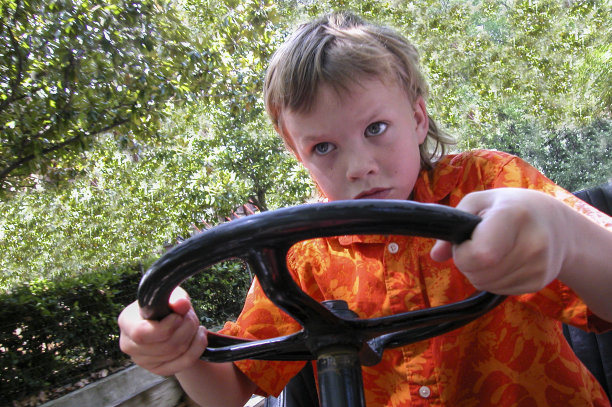 年轻的司机图片下载