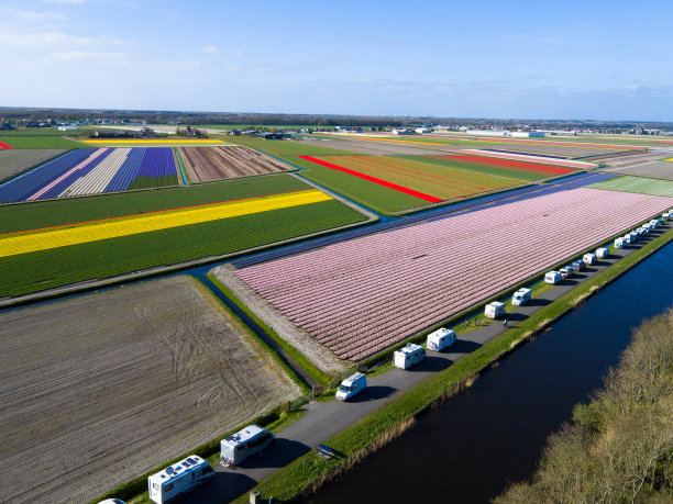 荷兰，郁金香田鸟瞰图图片下载