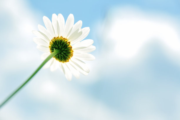 愿景照片素材ID：145849096