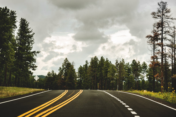 驾驶在红杉国家公园-美国图片下载