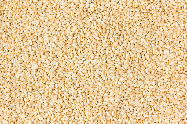 珍珠大麦背景图片下载