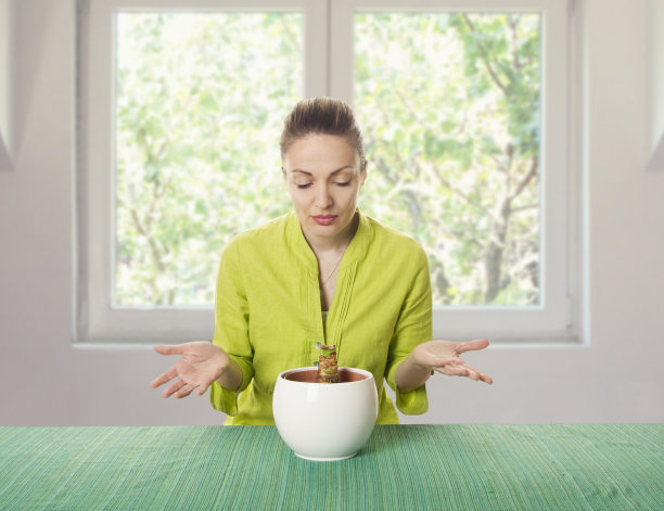 室内植物图片下载