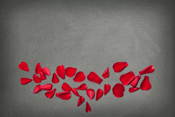 花，黑板-爱的主题图片下载