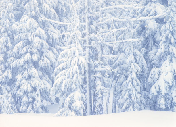 俄勒冈州喀斯喀特山脉的火山口湖国家公园冬天下雪图片下载