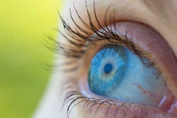 关注蓝眼睛图片下载