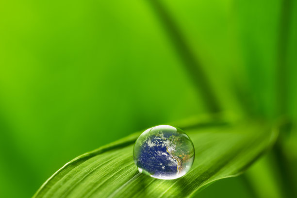 树叶与雨滴-恢复土地的概念图片下载