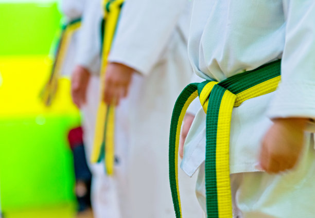 练习跆拳道图片下载