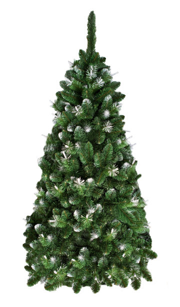 圣诞树图片下载