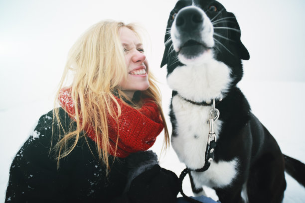 女人和狗在新雪中玩耍图片下载