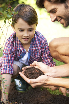 花园的发现图片下载
