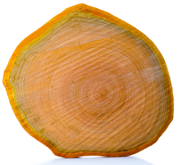 横截面图片下载