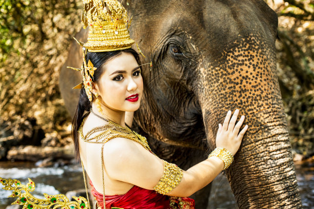 泰国模型和大象图片下载
