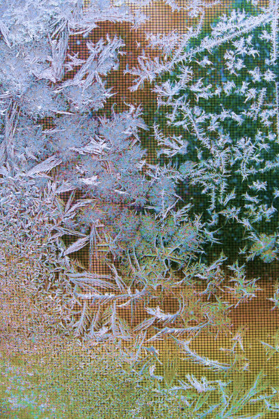 窗户上鲜艳的霜图片下载