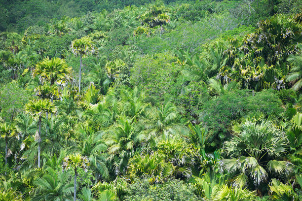 塞舌尔图片下载