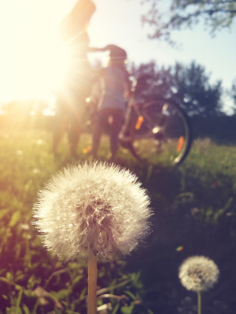 母亲和女儿在大自然中骑自行车图片下载